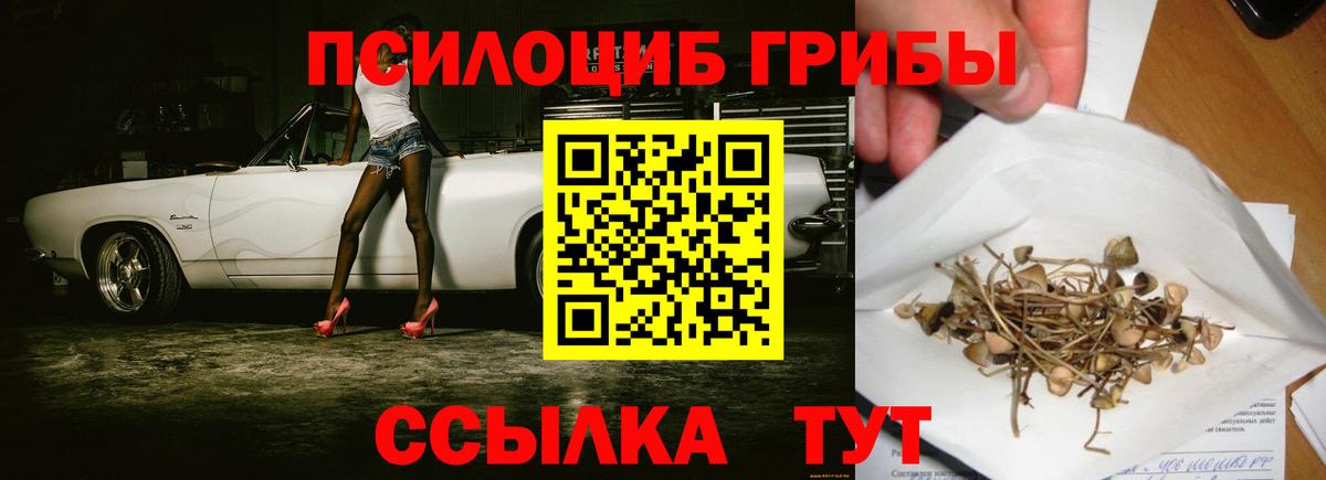 Псилоцибиновые грибы GOLDEN TEACHER Славянск-на-Кубани